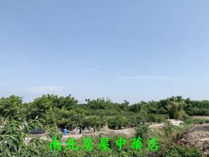 南北房屋中華加盟店 - 歸仁分局旁農地(承租權利)