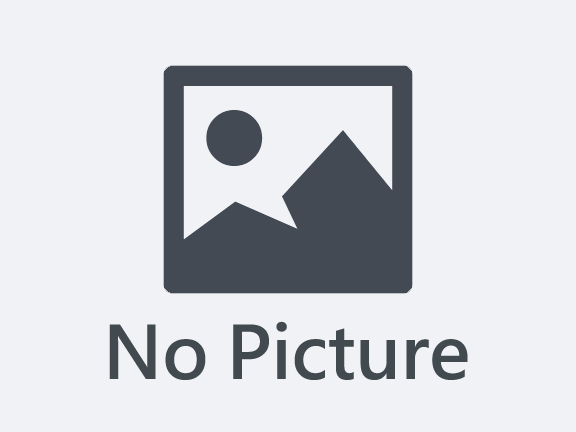  - 善化區大同段含建照建地